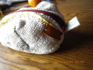 20140120sayaka nihon 116