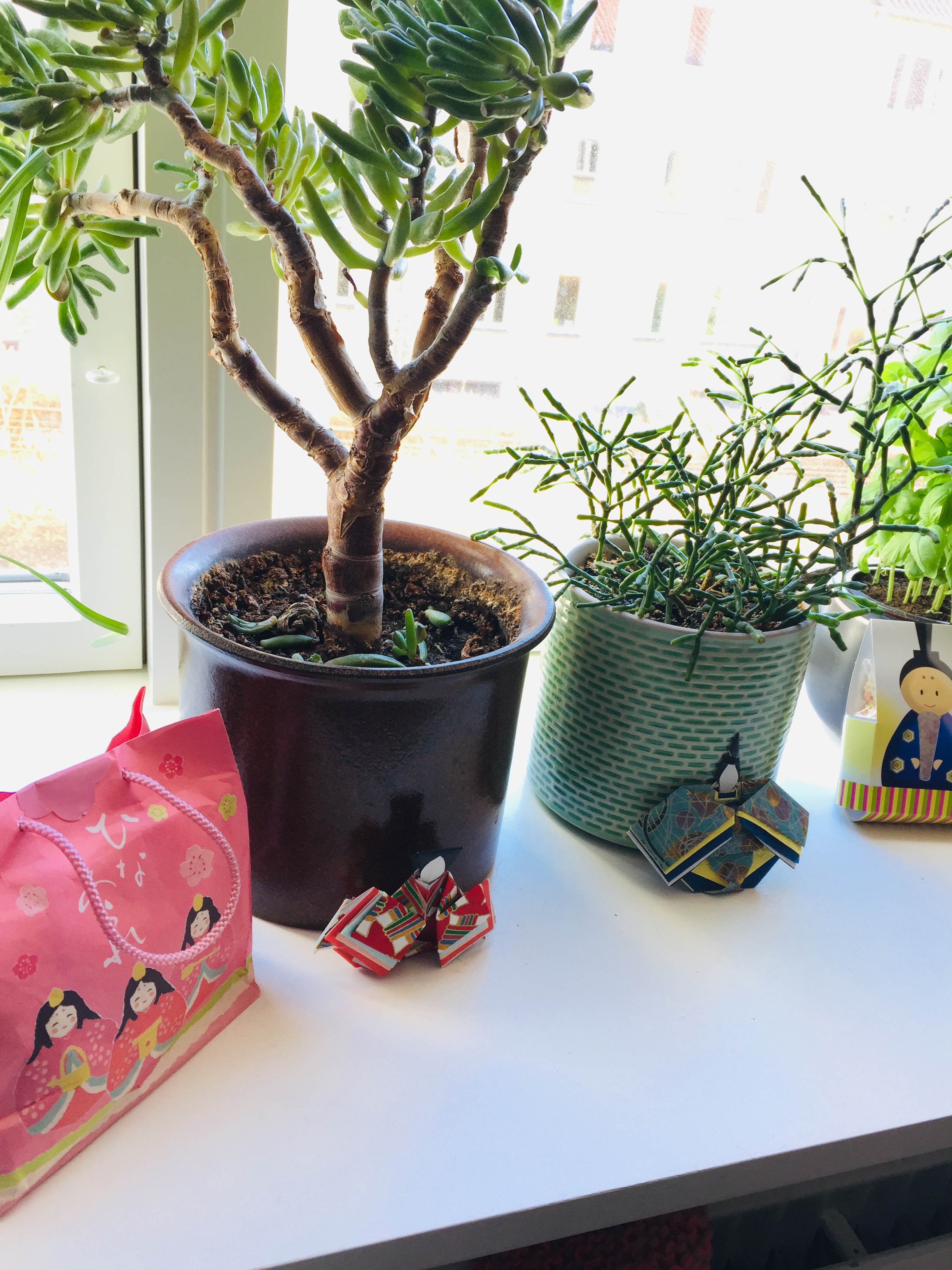 8FEAB9F3-8700-4DAA-A068-A38F839177C3