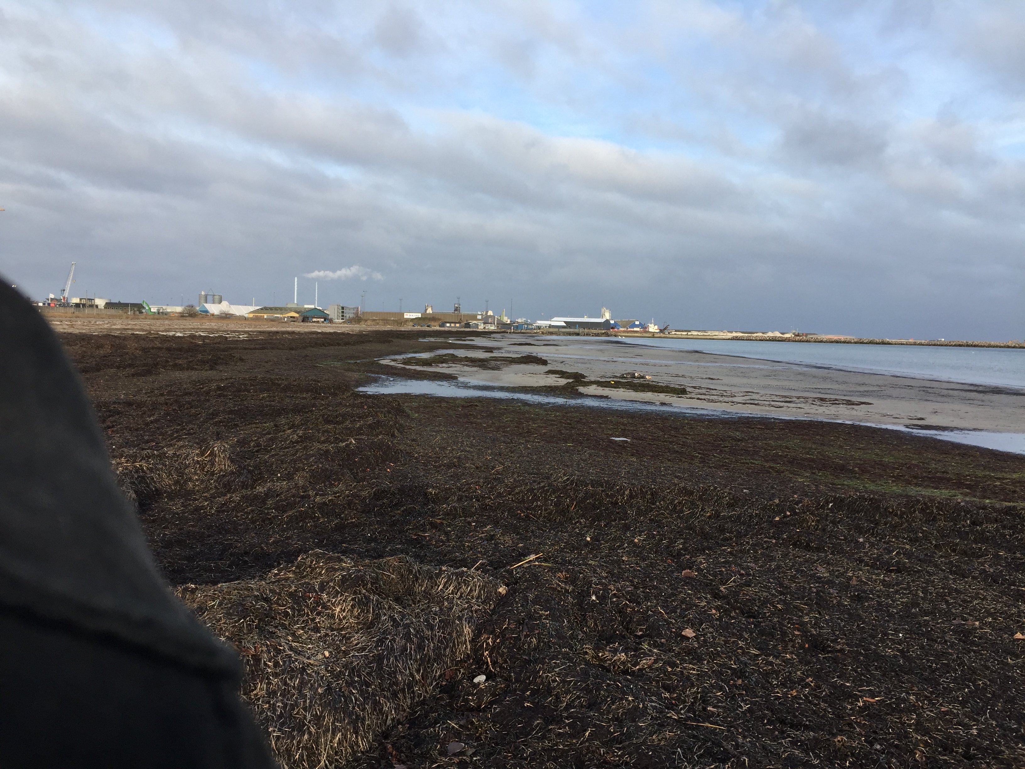 92E6F3CE-8EB0-49C9-8999-917929FE6284