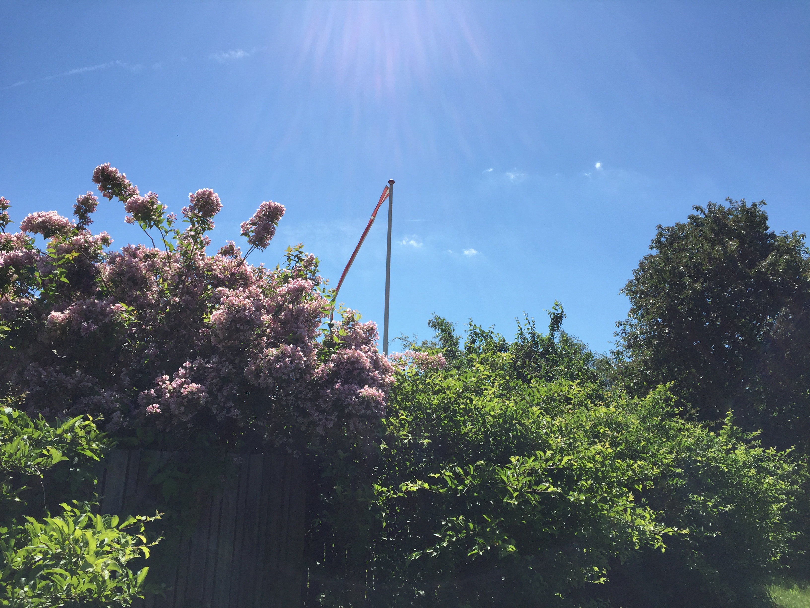 236CC603-21A3-491B-A6B2-571AA7B2F9B6