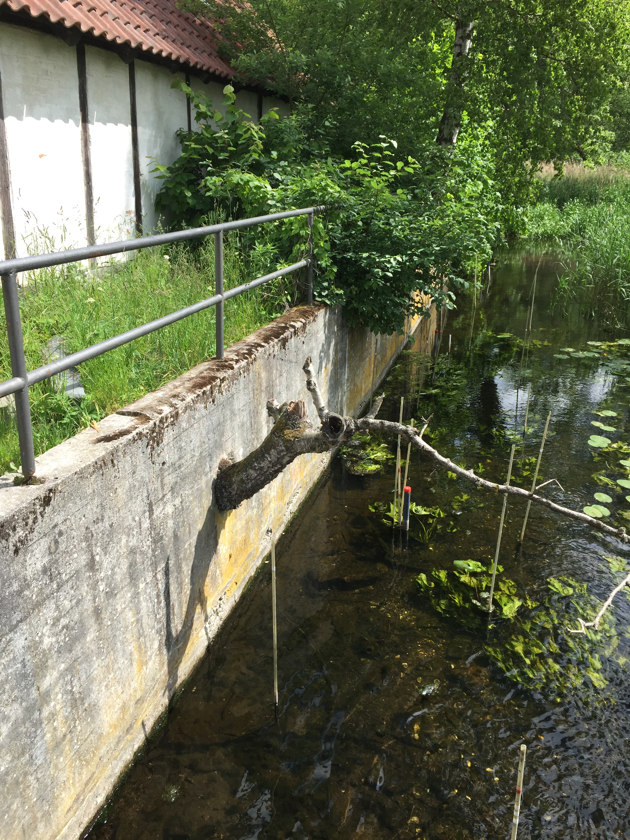 24D4357C-EDCD-4EC2-8E9A-5106B3769723