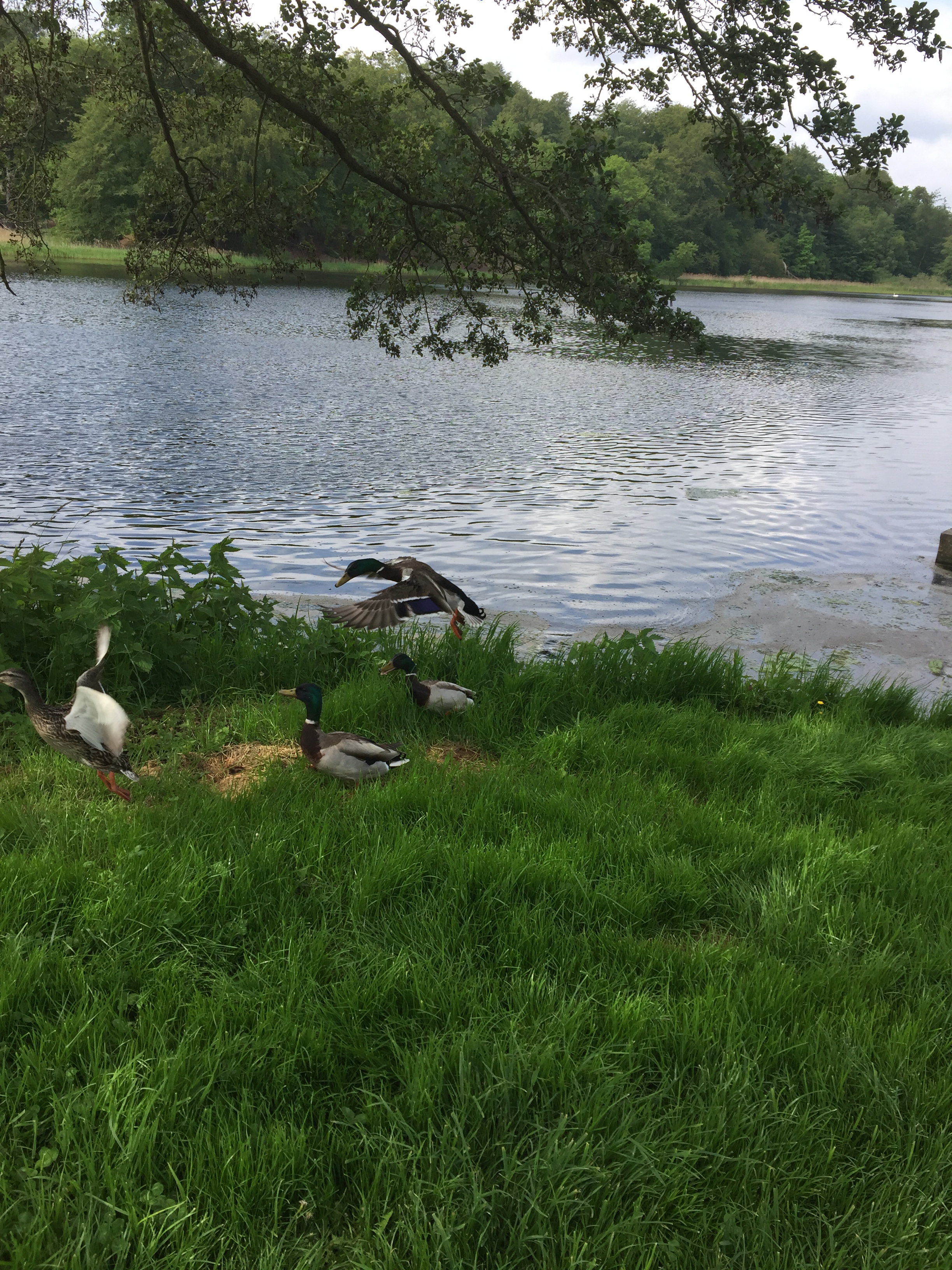 544BD96F-0FE0-46B2-A346-C8E2E2735265