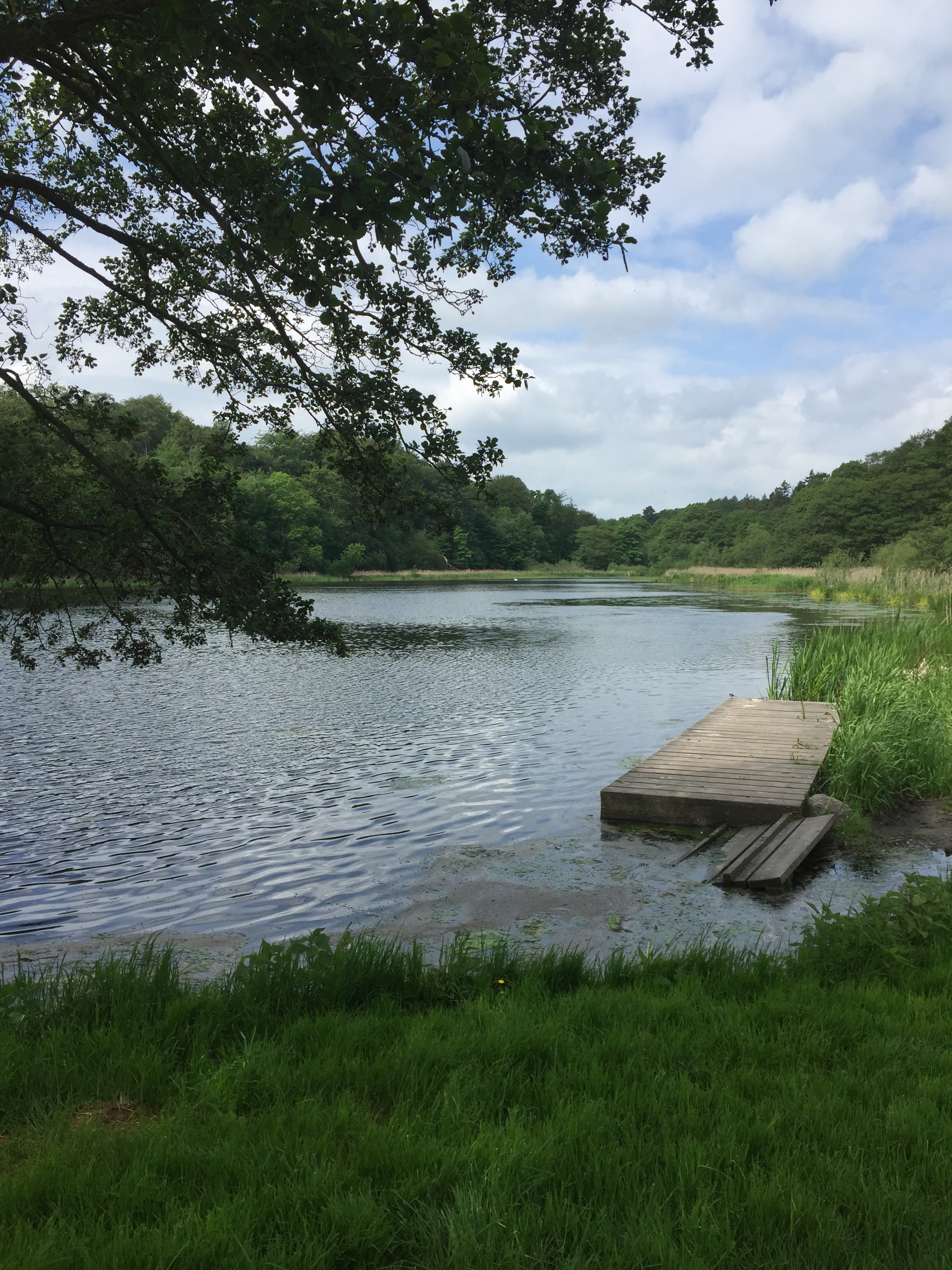 5E8FCA43-FF0A-4C6F-B048-1FD236D8DA33