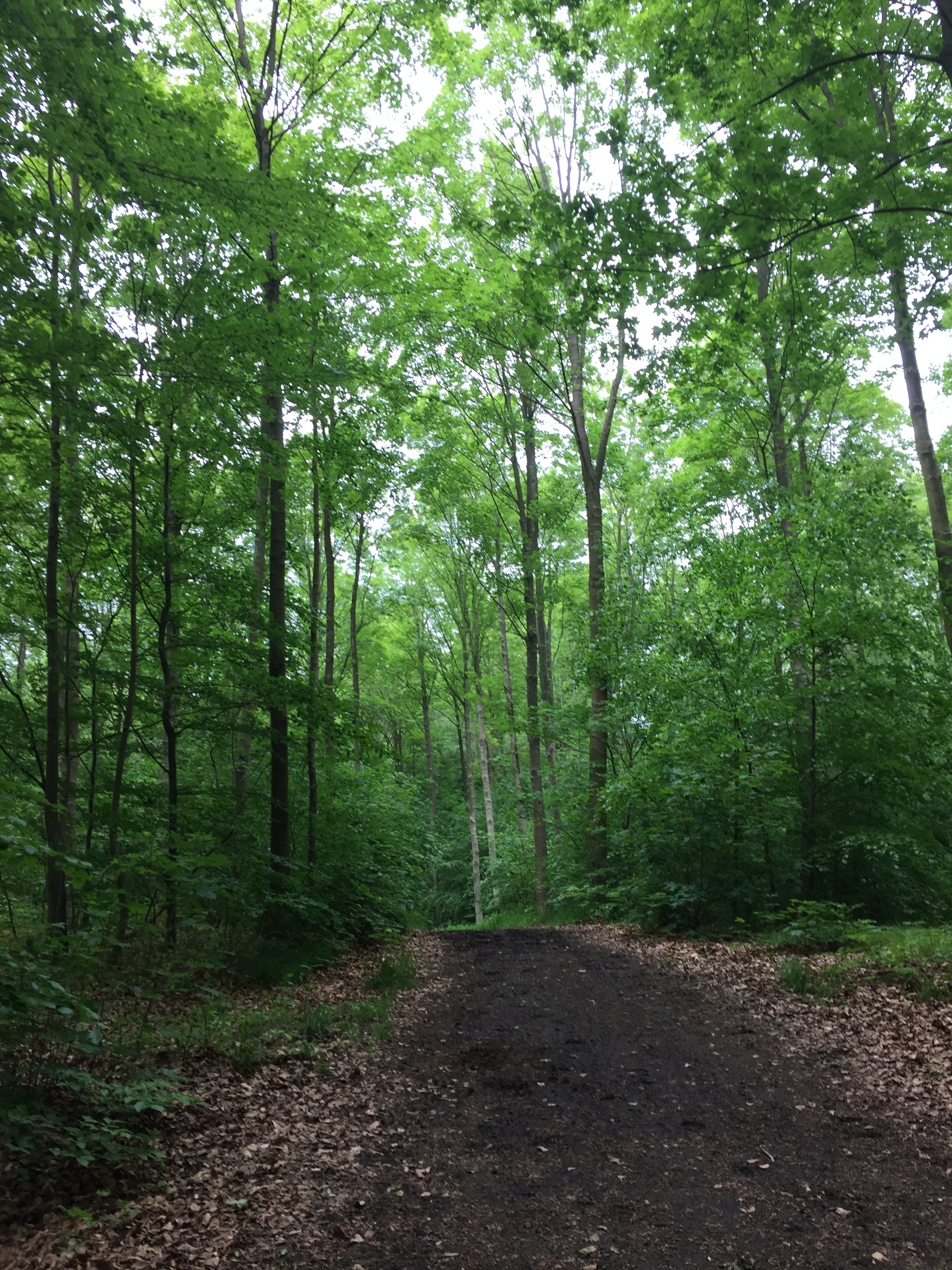 9E0903A7-E624-47B2-8288-81536DD63CFD