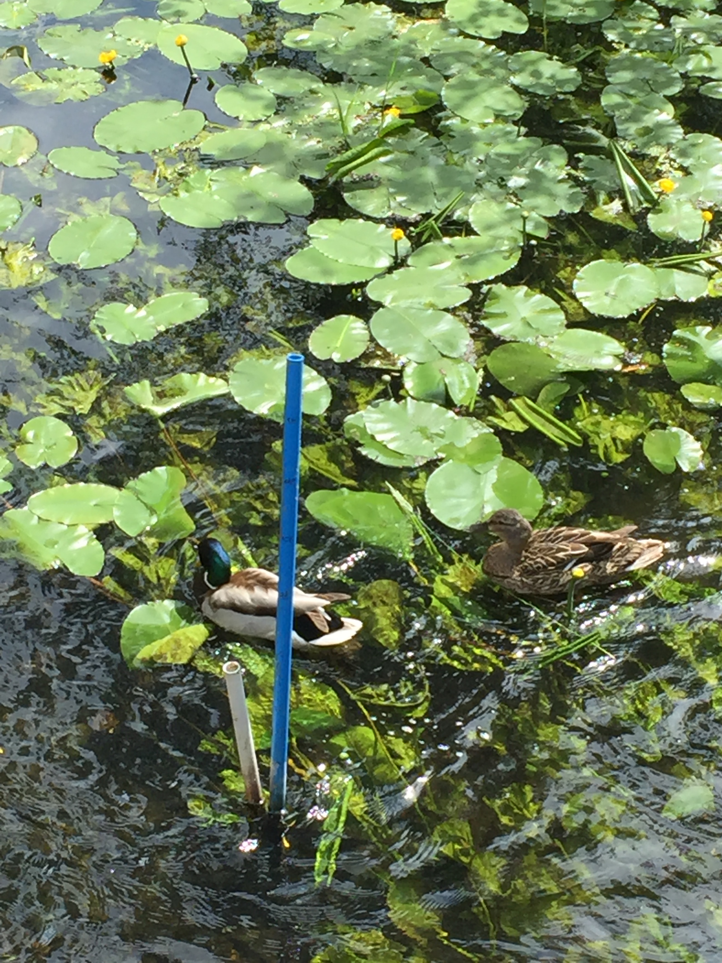 B22FC287-6227-4230-9046-F467E17741B2