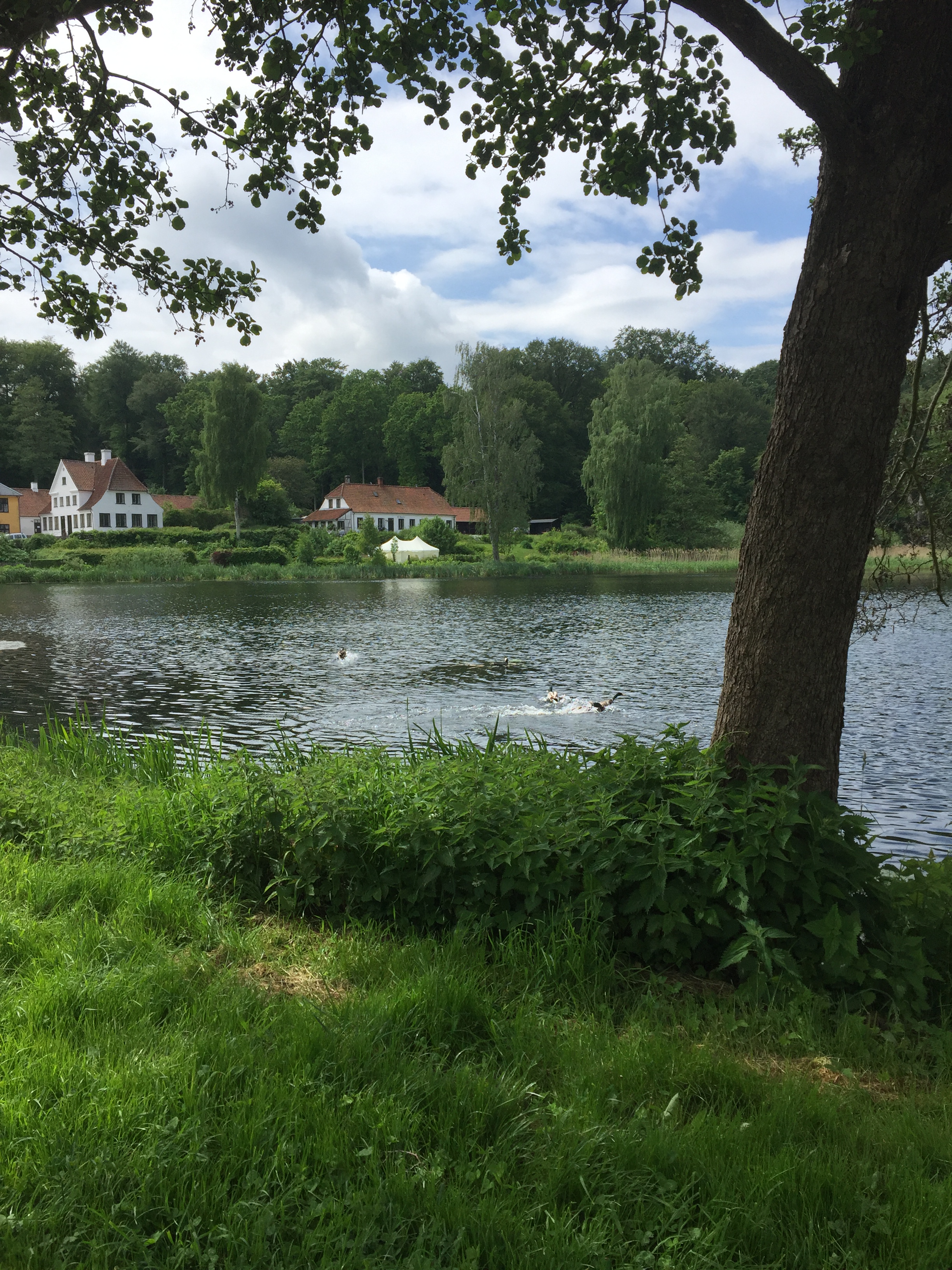 CB53A1A2-010D-41C7-8297-0AFD66EB7EEC