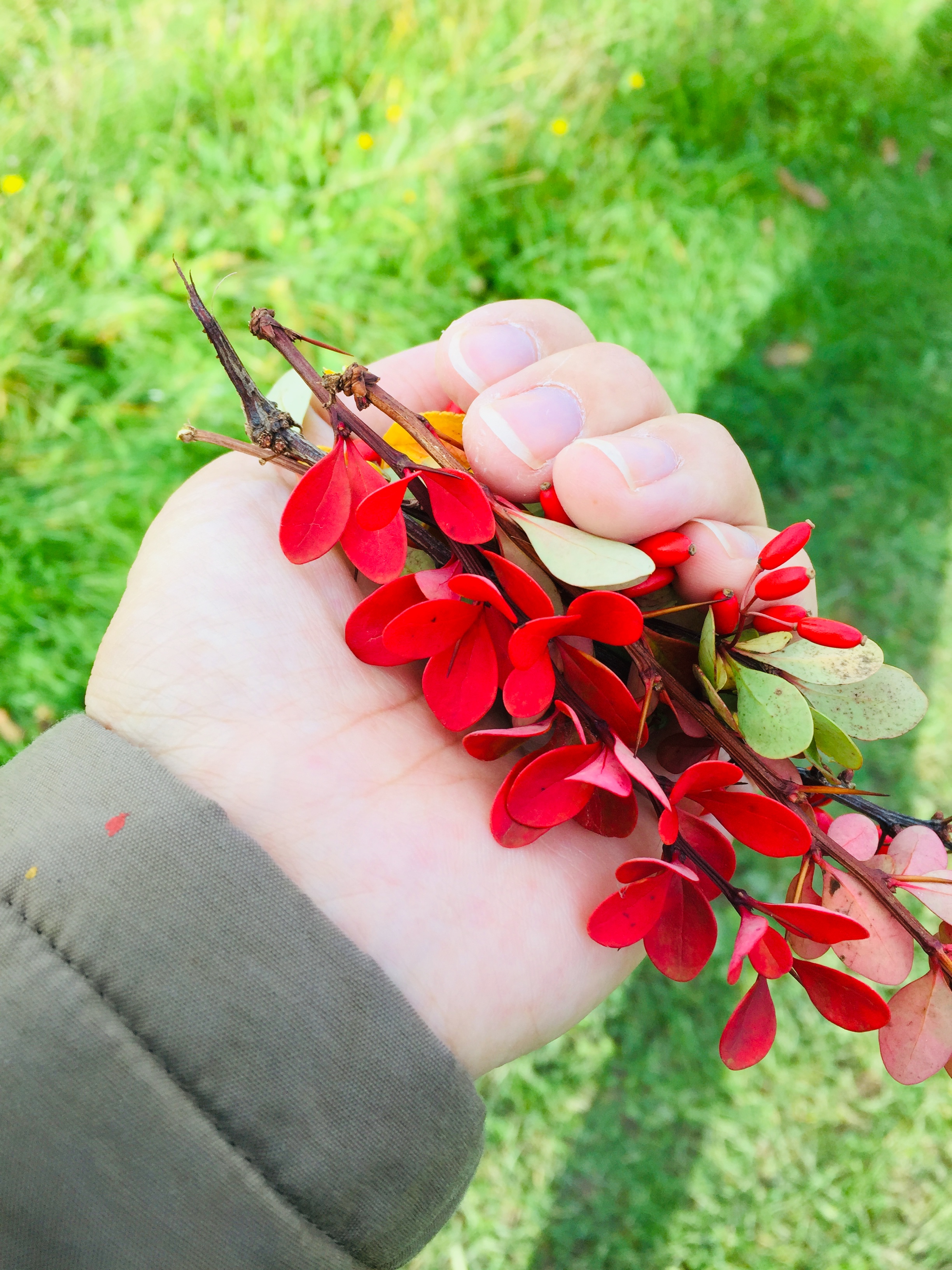 16050E2C-C24C-4924-923C-099EFCD68007