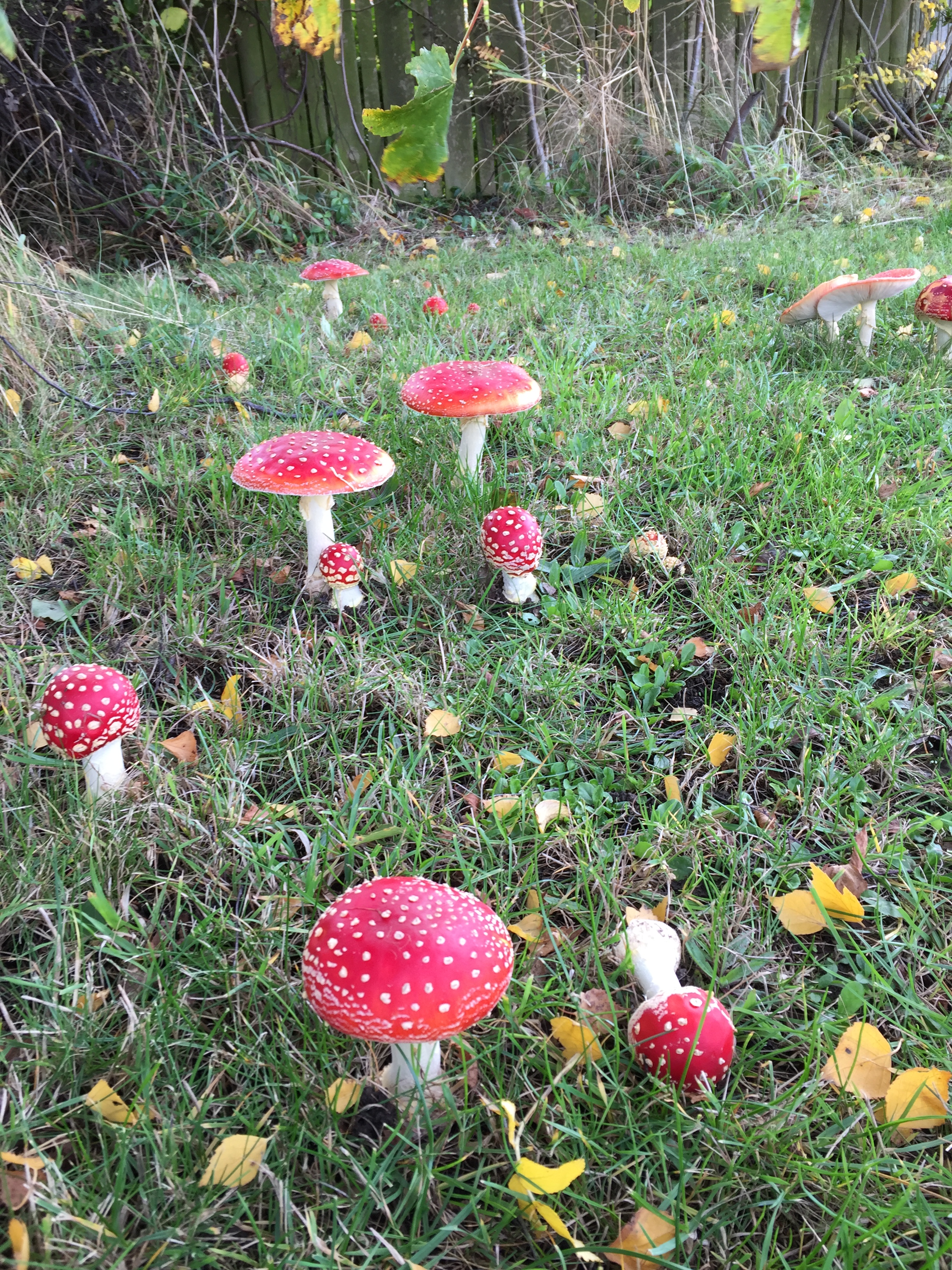 81143A59-8DA9-462A-90DC-2FF443E21AEB