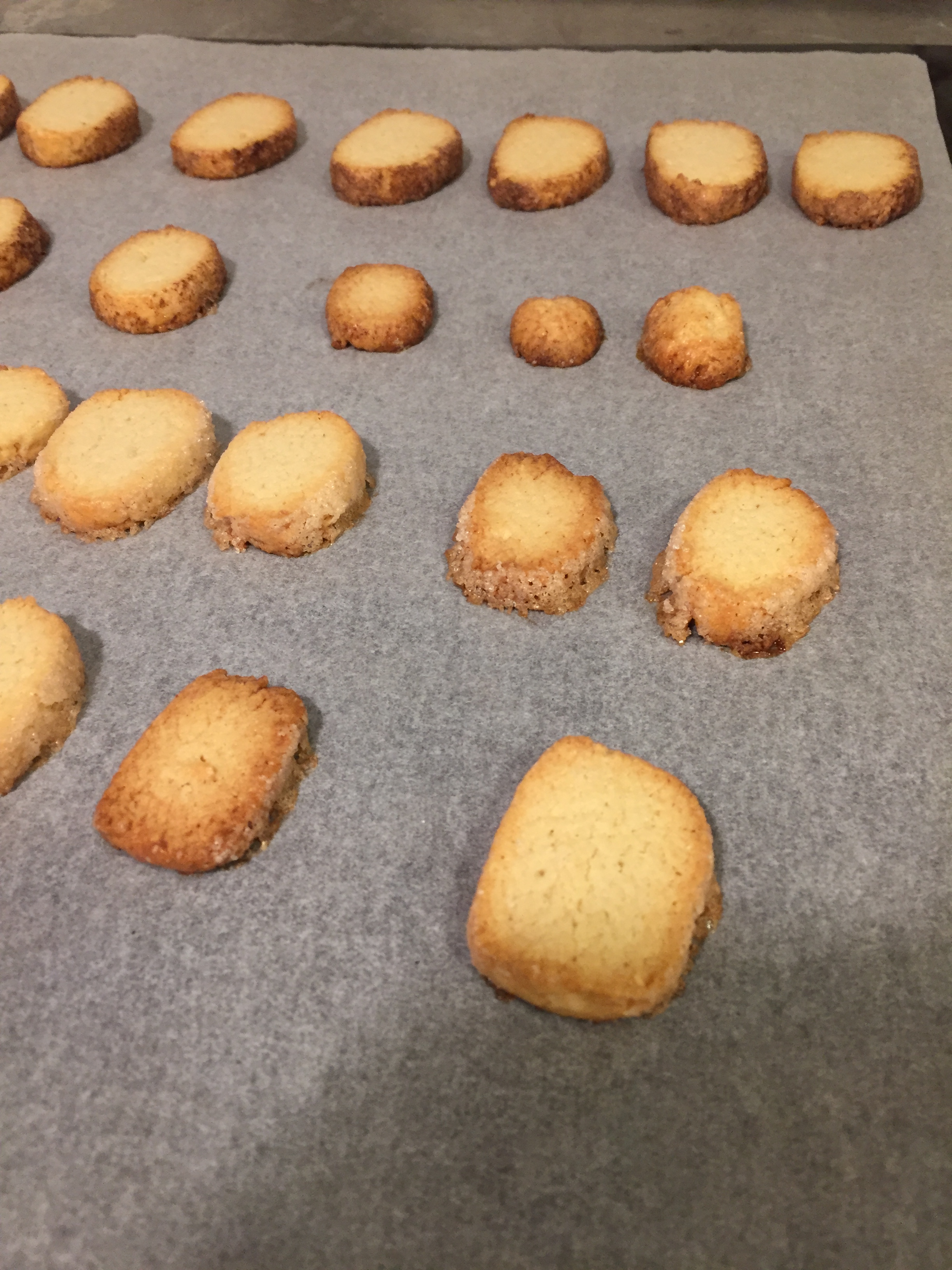 AE7ECD0C-9F62-4AF0-B646-F189AB4BC1D1